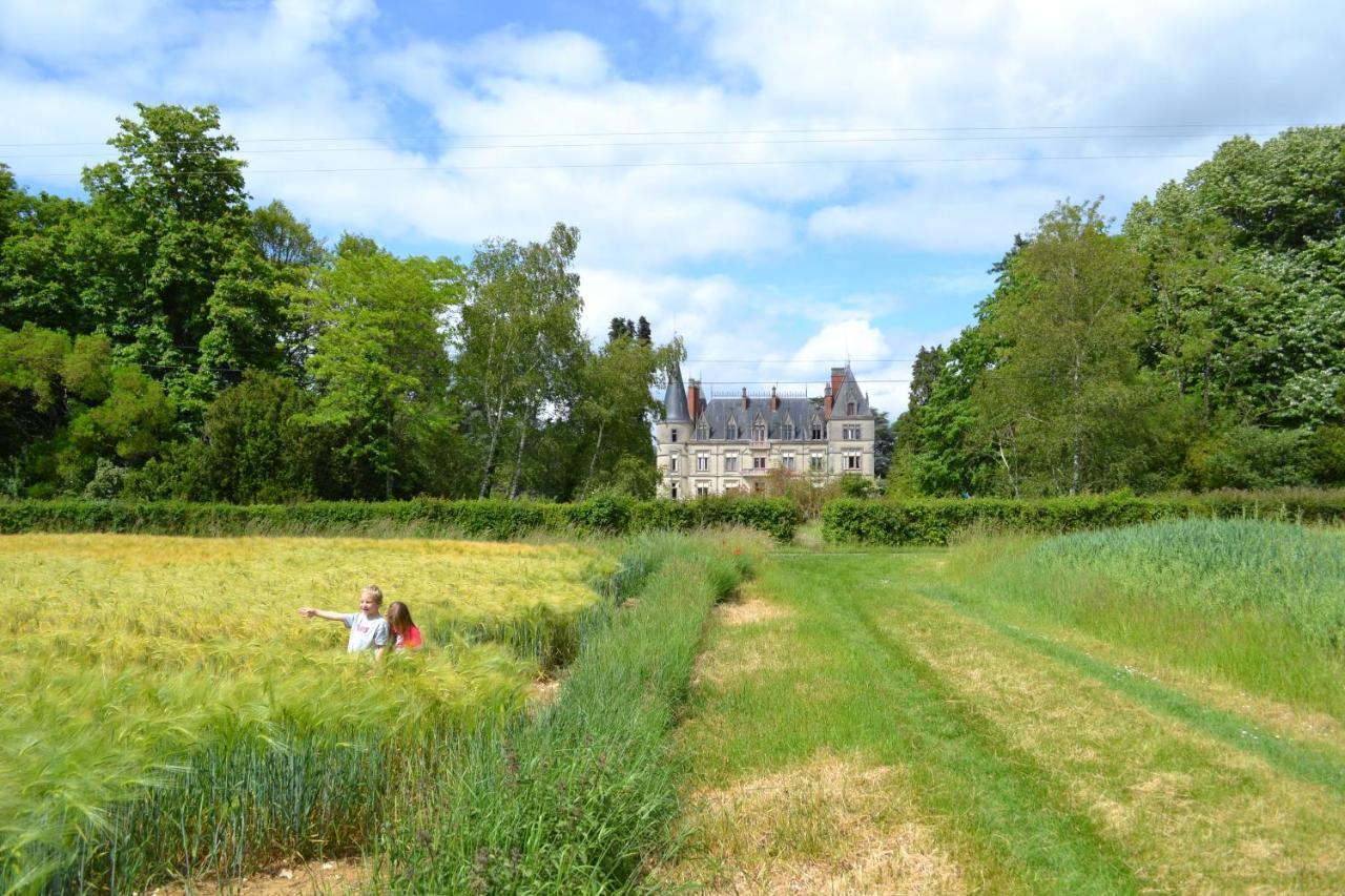 Hotel Chateau Le Boisrenault Buzançais Exterior foto